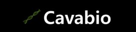 Cavabio Consulting LLC